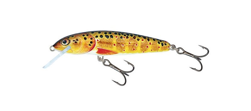 Salmo Wobler Minnow Floating M5F 6cm Trout